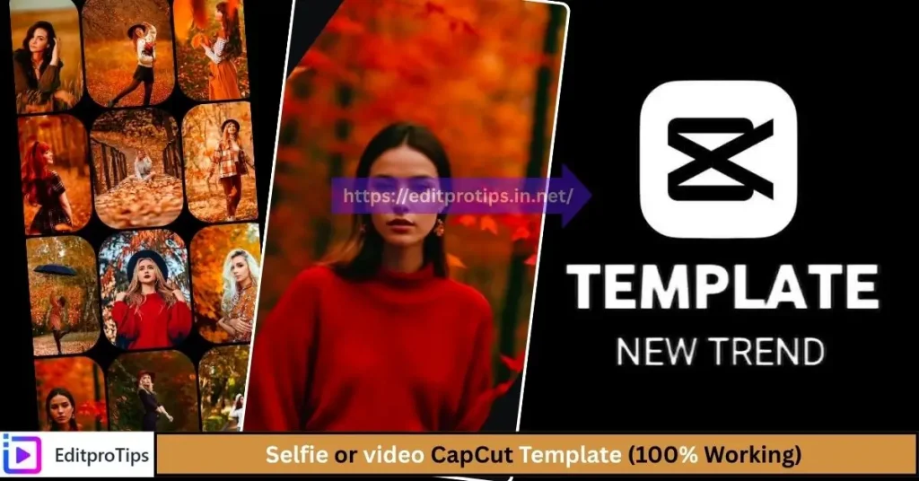 Selfie or video CapCut Template (100% Working)